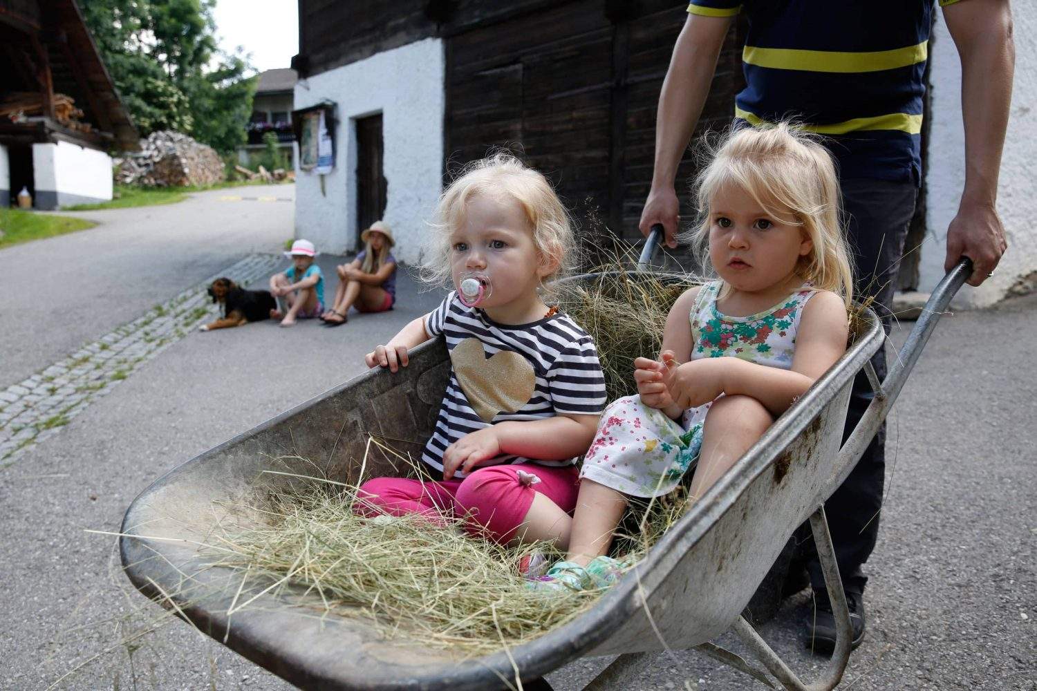 Kinder im Heu und in der Scheibtruhe