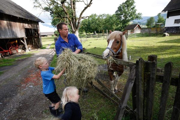 Erlebnisurlaub am Bauernhof für die ganze Familie in Kärnten