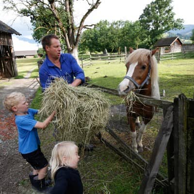 Tiere füttern am Kinderbauernhof in Österreich