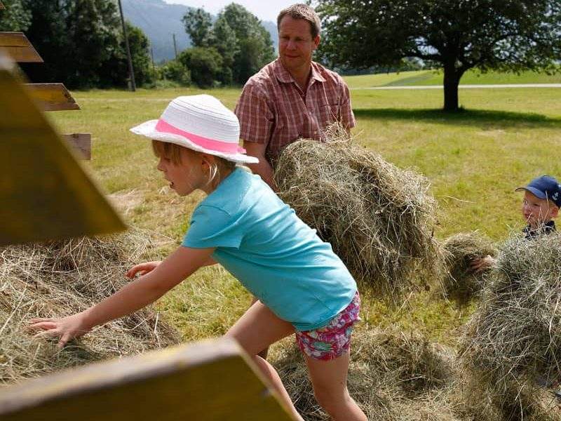 Heuernte für Kinder im Kärnten-Urlaub