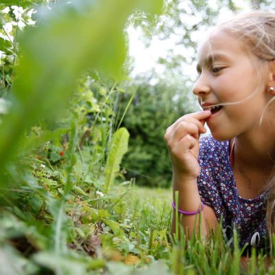 Kräutergarten auf dem Kärntner Kinderbauernhof