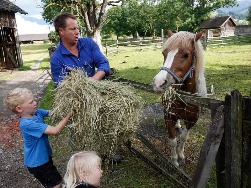 Tiere füttern am Kinderbauernhof in Österreich