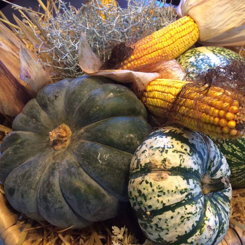 Familienbauernhof in Kärnten feiert Herbst