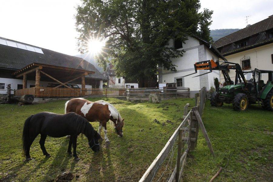 Biobauernhof mit Produkten aus eigener Erzeugung