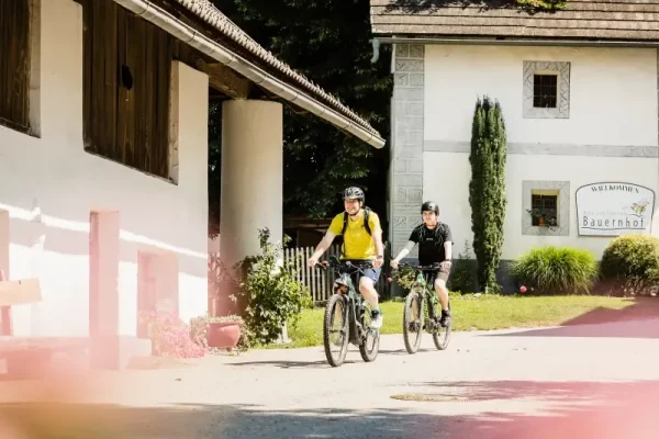 Unzählige Radwege für jedes Alter - Biken im Herbst