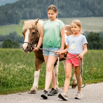 Unser Pony liebt Spaziergänge