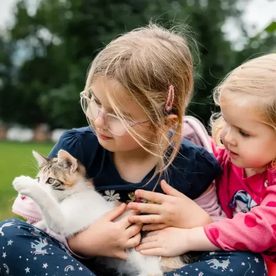 Katzen streicheln ist immer etwas Besonderes