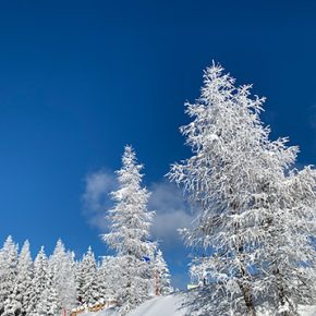 Verschneite Oberkärntner Landschaft